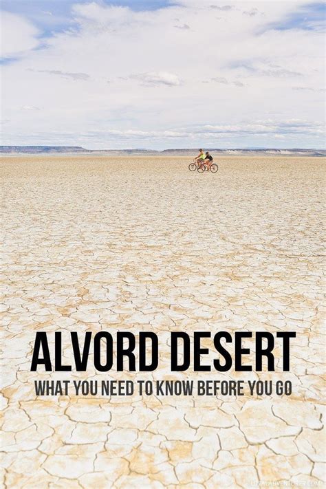 Alvord Desert Oregon – What You Need to Know。